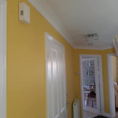 Interior Painting