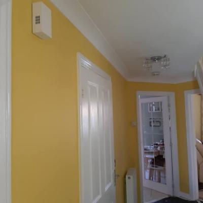 Interior Painting